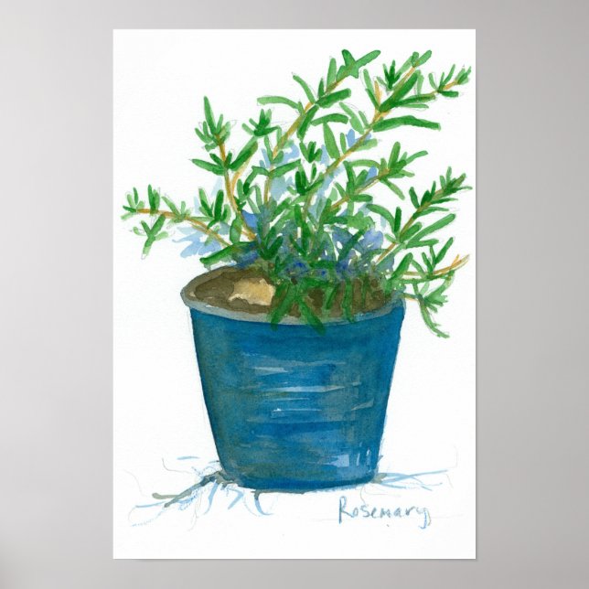 Pôster Pintura em Aquarela de Rosemchen Usina Herb (Frente)