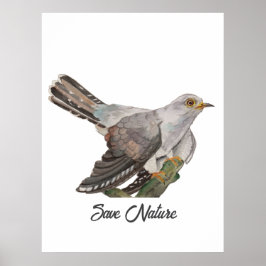Poster Pintura em aquarela de um cuco