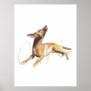 Poster Pintura em Aquarela do Pinscher Miniatura, Arte pa