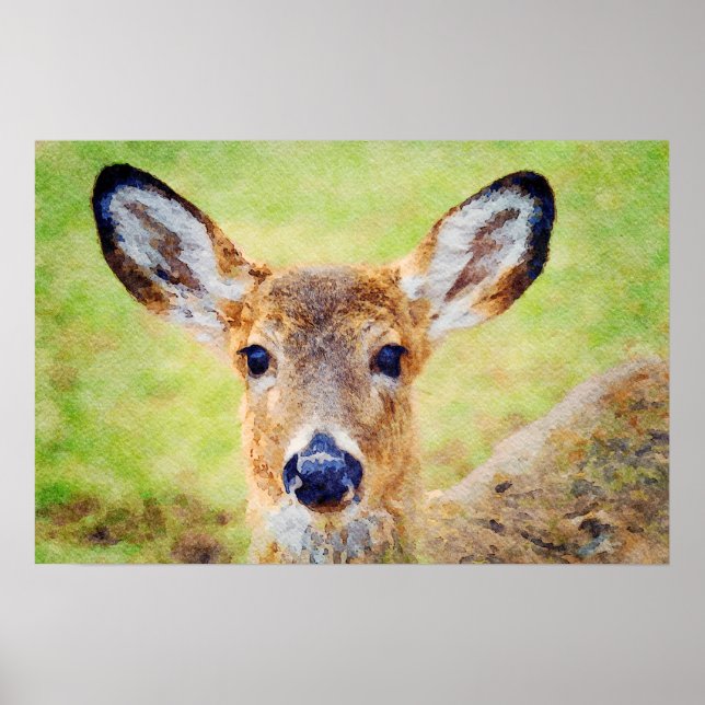 Poster Pintura em Aquarela Gorgeia Whitetail Deer Head (Frente)