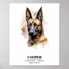 Poster Pintura em Aquarela Personalizável de Malinois