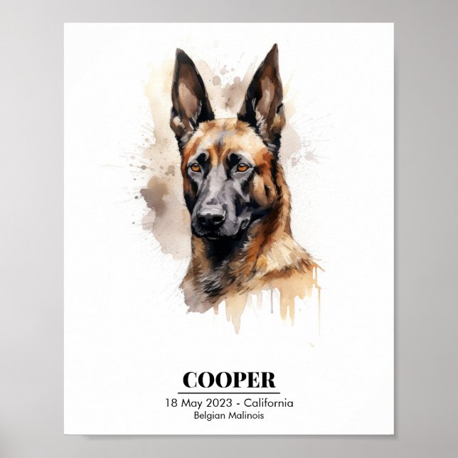 Poster Pintura em Aquarela Personalizável de Malinois (Frente)
