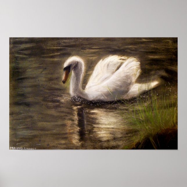 Poster Pintura em Cisne Branco (Frente)