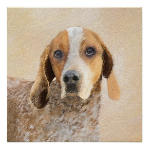 Pôster Pintura em Coonhound Inglês Americano - Arte Canin