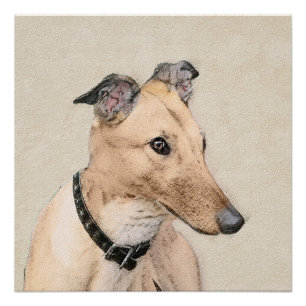 Pôster Pintura em Greyhound - Arte em Cachorro Original