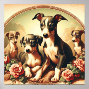 Poster Pintura em Greyhound Italiano, Cute Vintage