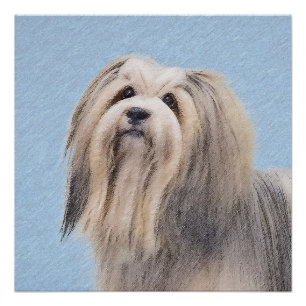 Pôster Pintura em Havanês (Prata) - Arte Canina Original