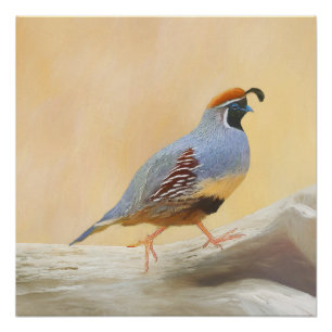 Pôster Pintura em Quail de Gambrel — Arte original sobr