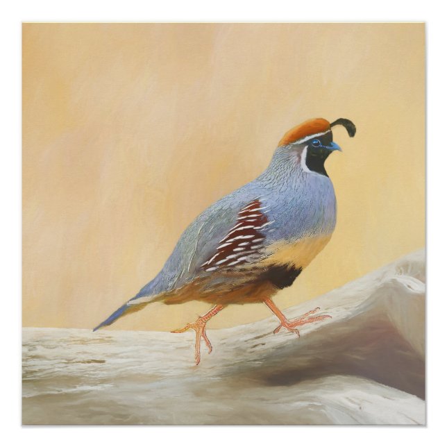 Pôster Pintura em Quail de Gambrel — Arte original sobre  (Frente)