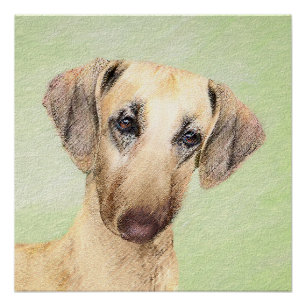 Pôster Pintura em Sloughis - Arte Cão Original Bonita