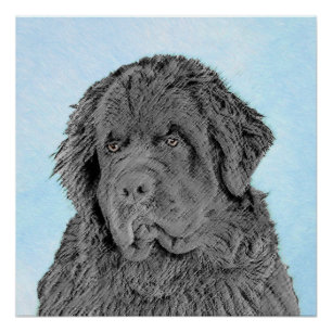 Pôster Pintura em Terra Nova - Arte Cachorra Original
