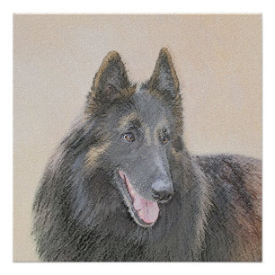 Pôster Pintura em Tervuren Belga - Arte Cachorra Original