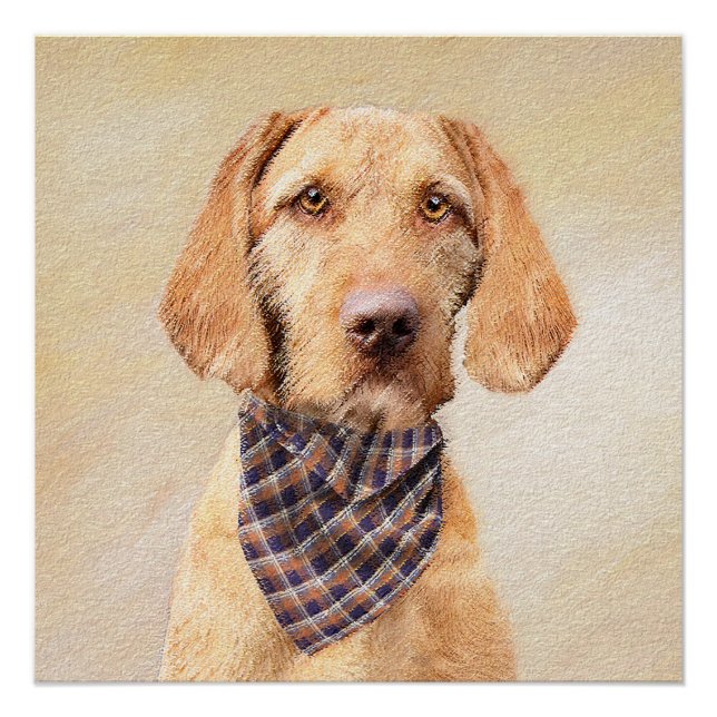 Pôster Pintura em Vizsla com Cabelo Frio - Arte Cachorra  (Frente)