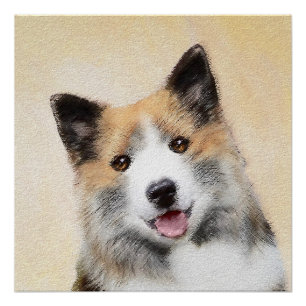 Pôster Pintura Islandesa Do Cão - Arte Original Do Cão