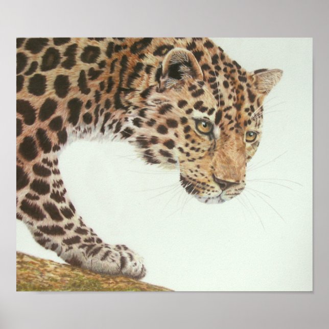 Poster Pintura Jovem Leopardo (Frente)