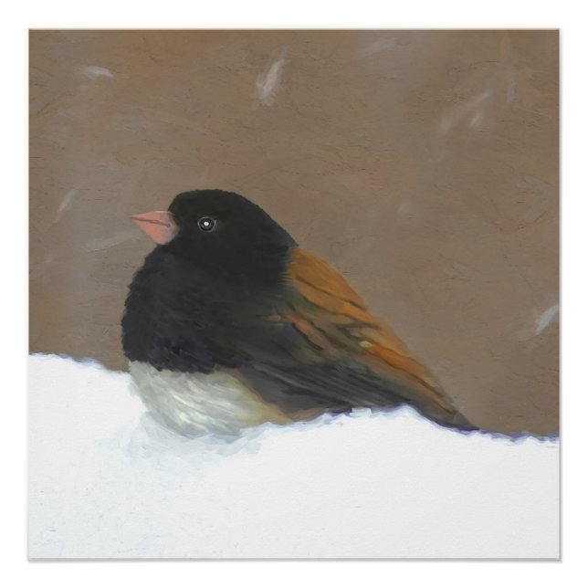 Pôster Pintura Junco De Olhos Escuros - Arte De Pássaro O (Frente)