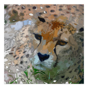 Pôster Pintura louca - chita