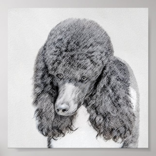 Pôster Pintura Negra De Poodle Padrão - Arte Cão (Frente)