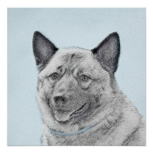 Pôster Pintura Norueguesa de Elkhound - Arte Original de