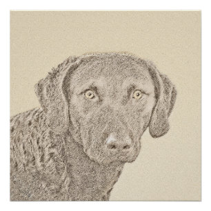 Pôster Pintura Original para Cães na Baía de Chesapeake