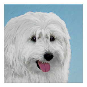 Pôster Pintura polonesa do Sheepdog da planície - cão