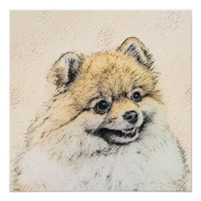 Pôster Pintura Pomeraniana (Laranja) - Arte Canina Origin (Frente)