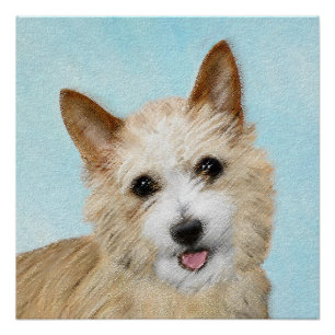 Pôster Pintura Portuguesa do Podengo Pequeno - Arte Origi