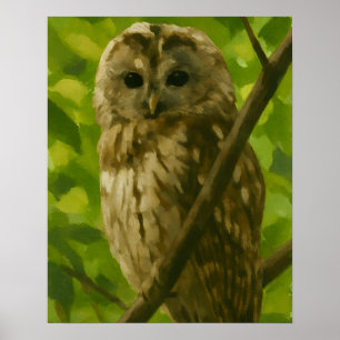 Poster Pintura Realista de Coruja na Paisagem Woodland