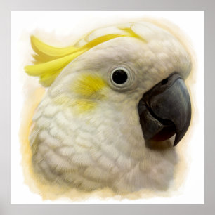 Poster Pintura realística do Cockatoo com crista do