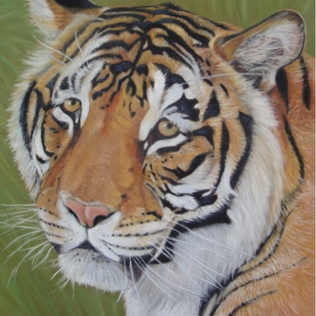 Poster pintura retrato do tigre do gato grande (Criador carregado)