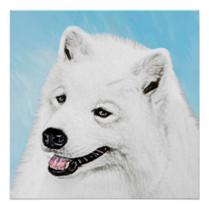 Pôster Pintura Samoyed - Arte Cachorosa Original