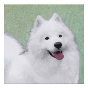 Pôster Pintura Samoyed - Arte Cachorra Original