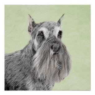 Pôster Pintura Schnauzer (Giant, Standard) - Arte Canina