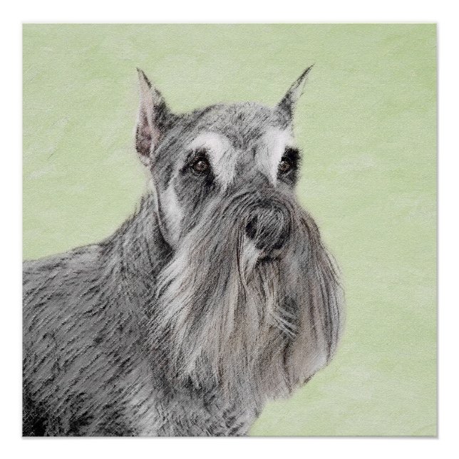 Pôster Pintura Schnauzer (Giant, Standard) - Arte Canina (Frente)