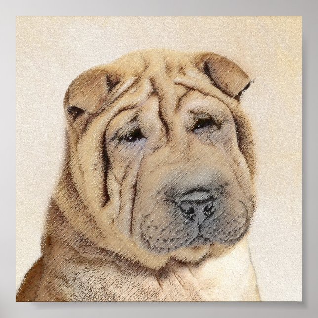 Poster Pintura Shar Pei - Arte Cachorra Original (Frente)