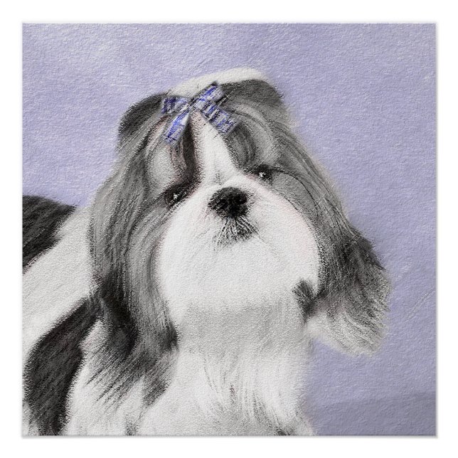 Pôster Pintura Shih Tzu - Arte Cachorosa Original (Frente)