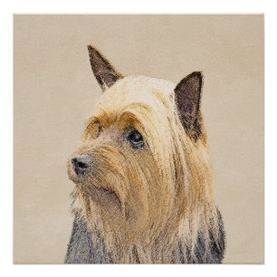 Pôster Pintura Silky Terrier - Arte Cachorro Original Cac