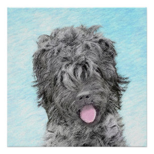 Pôster Pintura Terrier russa negra - Cachorro original bo