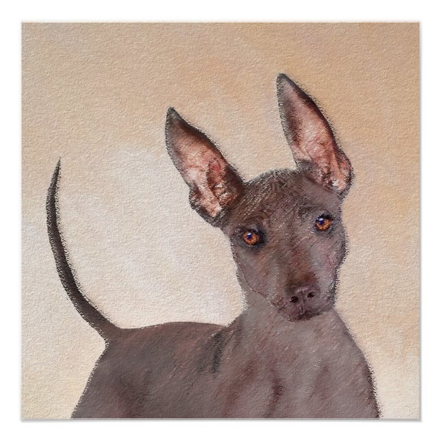 Pôster Pintura Xoloitzcuintli - Arte Cachorra Original (Frente)