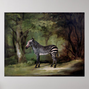 Poster pintura Zebra (1763)