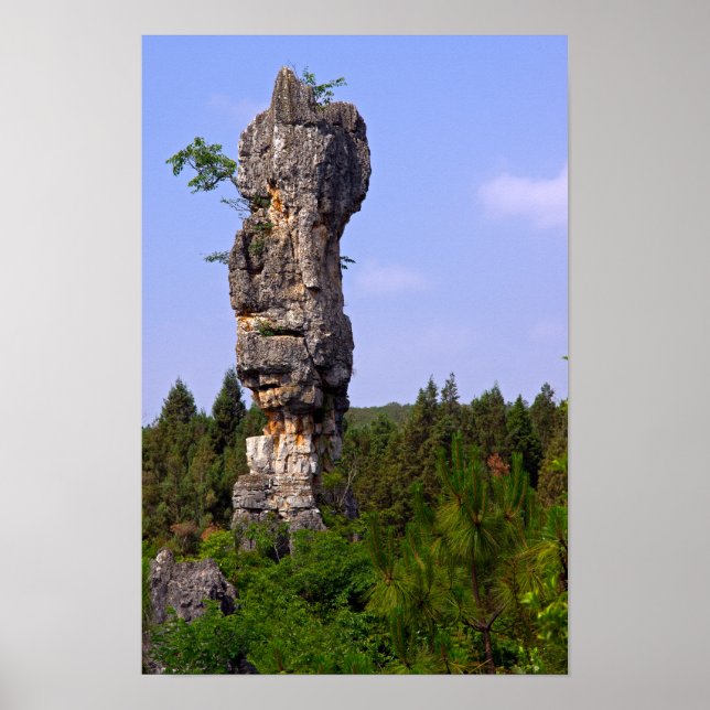Poster Pínulas de Shilin Floresta de Pedra - Yunnan, Chin (Frente)