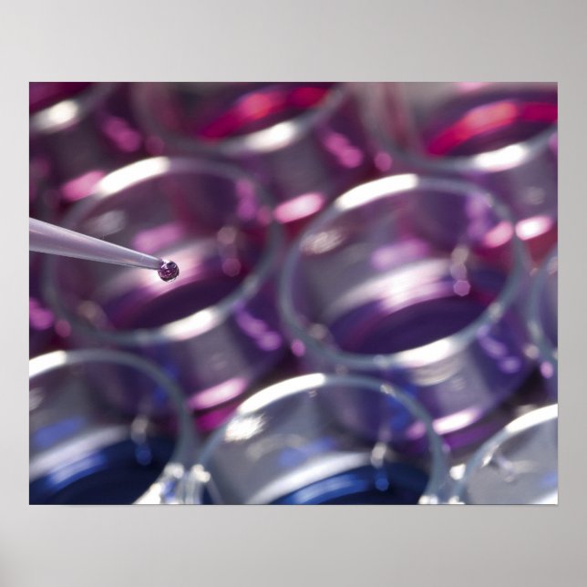 Poster Pipette and petri dishes with fluids (Frente)