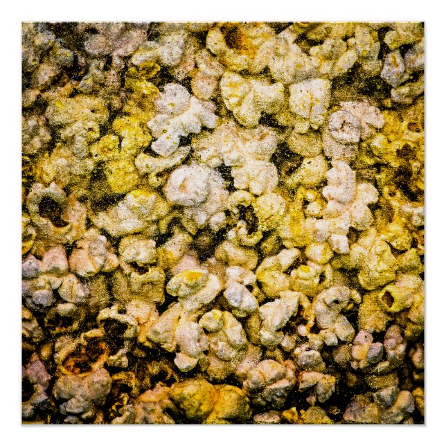 Pôster Pipoca (Frente)