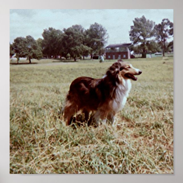 Poster Pippin (Frente)