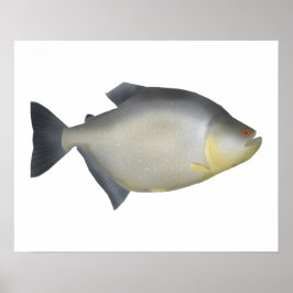 Poster Piranha Manchada