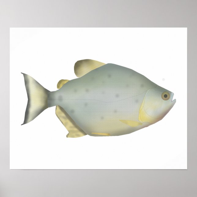 Poster Piranha Rubi Vermelho (Frente)