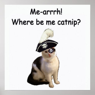 Pôster Pirata Cat