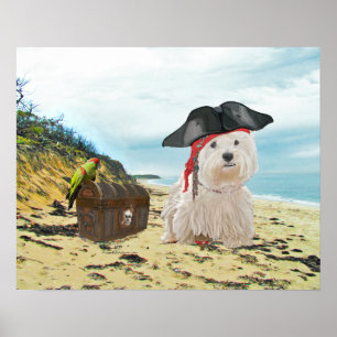 Pôster Pirata Westie