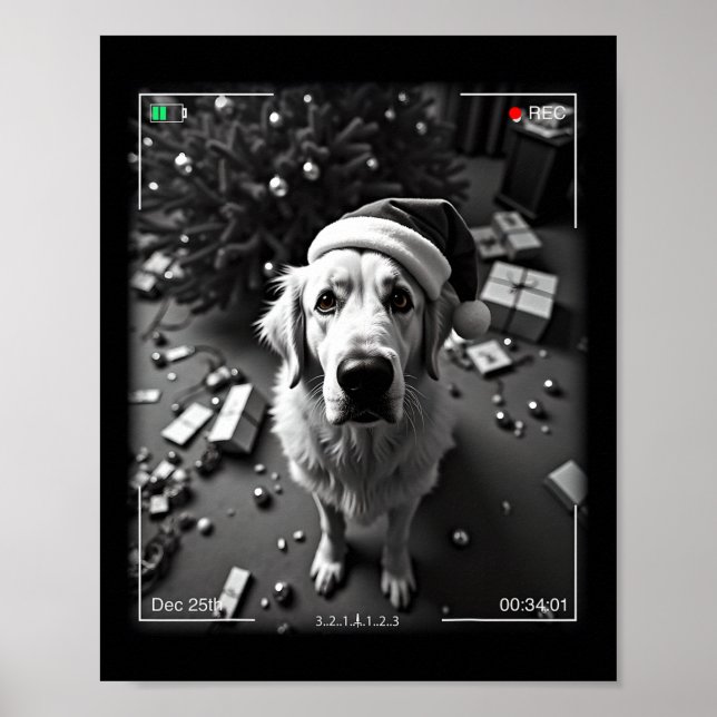 Poster Pirenéus Excelentes De Natal Capturados Na Câmera (Frente)