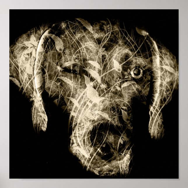 Poster piscadela (Frente)